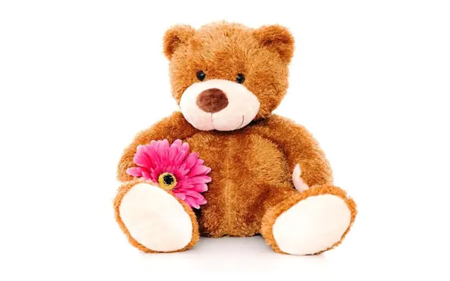 Teddy Bear Live Wallpaper android App screenshot 0