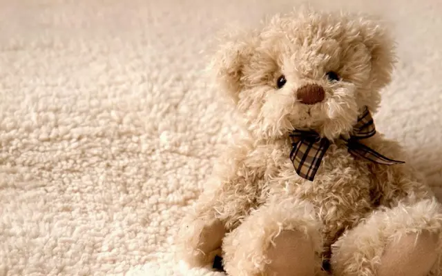 Teddy Bear Live Wallpaper android App screenshot 1