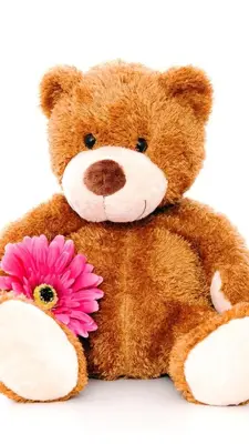 Teddy Bear Live Wallpaper android App screenshot 2