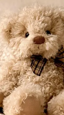 Teddy Bear Live Wallpaper android App screenshot 3