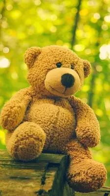 Teddy Bear Live Wallpaper android App screenshot 4