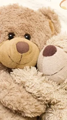 Teddy Bear Live Wallpaper android App screenshot 5